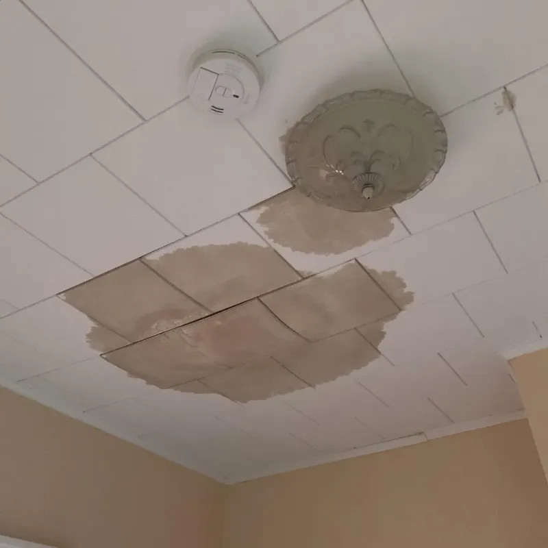 Ceiling Water Damage Repair in Georgetown, PA