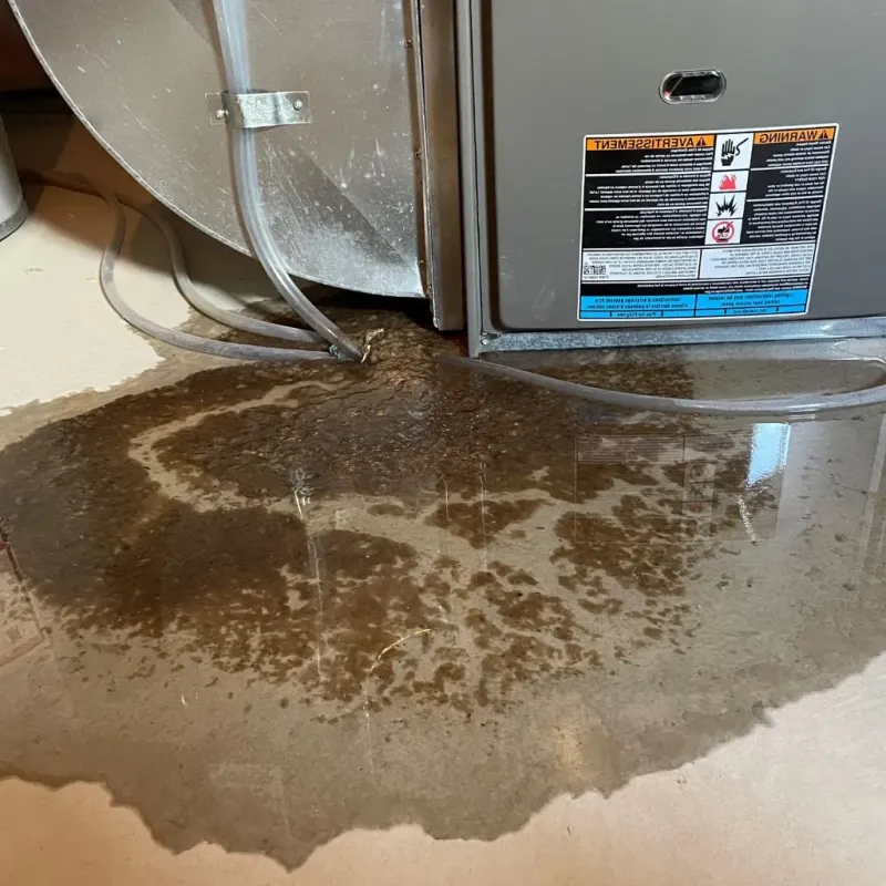 Pipe Burst and Leak Restoration in Georgetown, PA