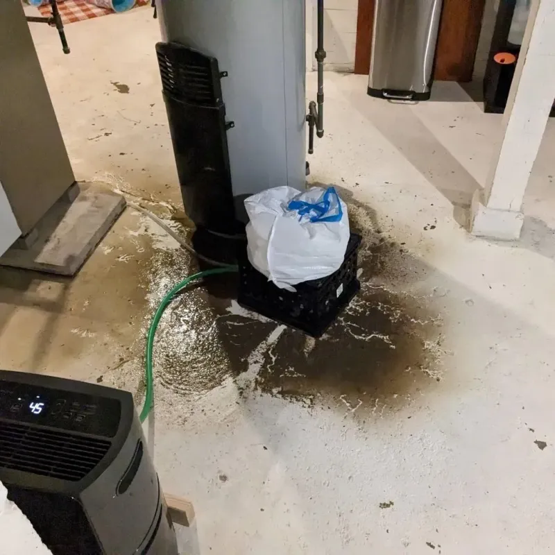 Sewage Backup Cleanup Service in Georgetown, PA